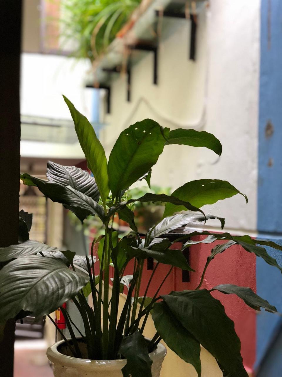 La ventana modern house Appartement Hai Phong Buitenkant foto